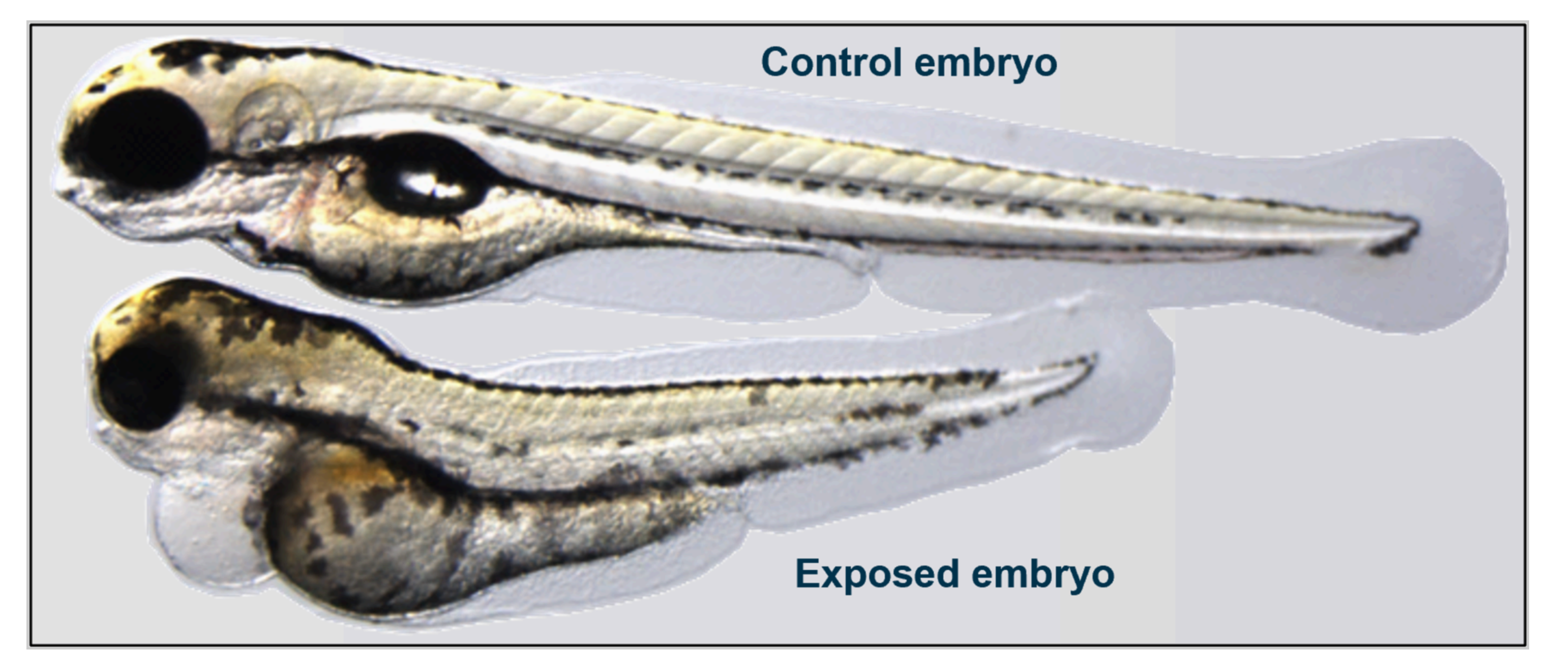 Screenshot 2025-04-16 at 20.34.26